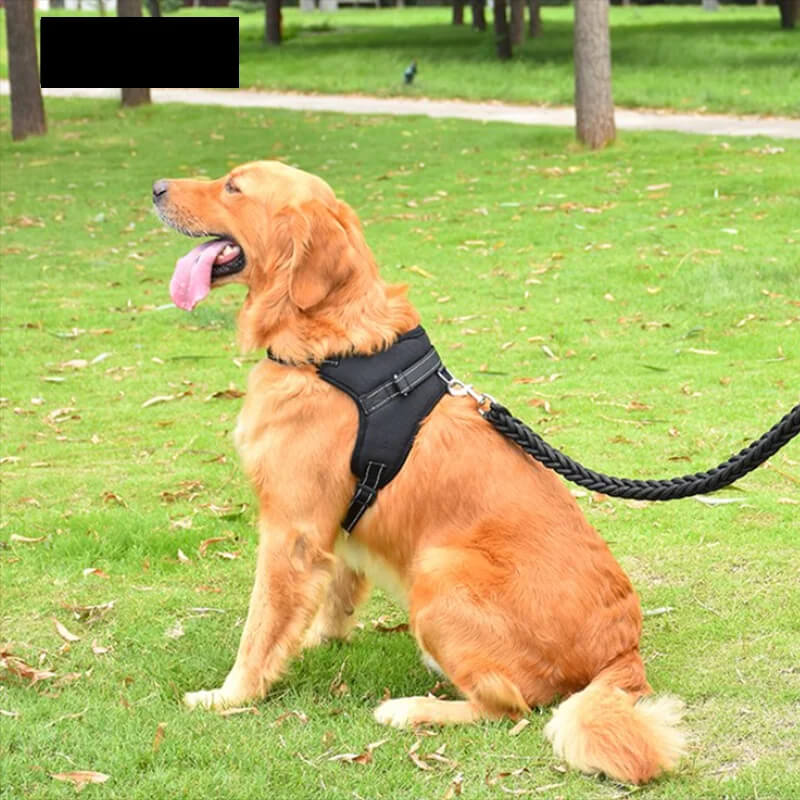 Arnês ajustável para cães e gatos de estimação com trela reflexiva e respirável para cães pequenos e grandes - L.Lartylife