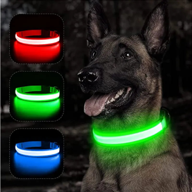 Coleira de cachorro brilhante com led, ajustável, recarregável, luminosa, noturna, anti-perda - L.Lartylife